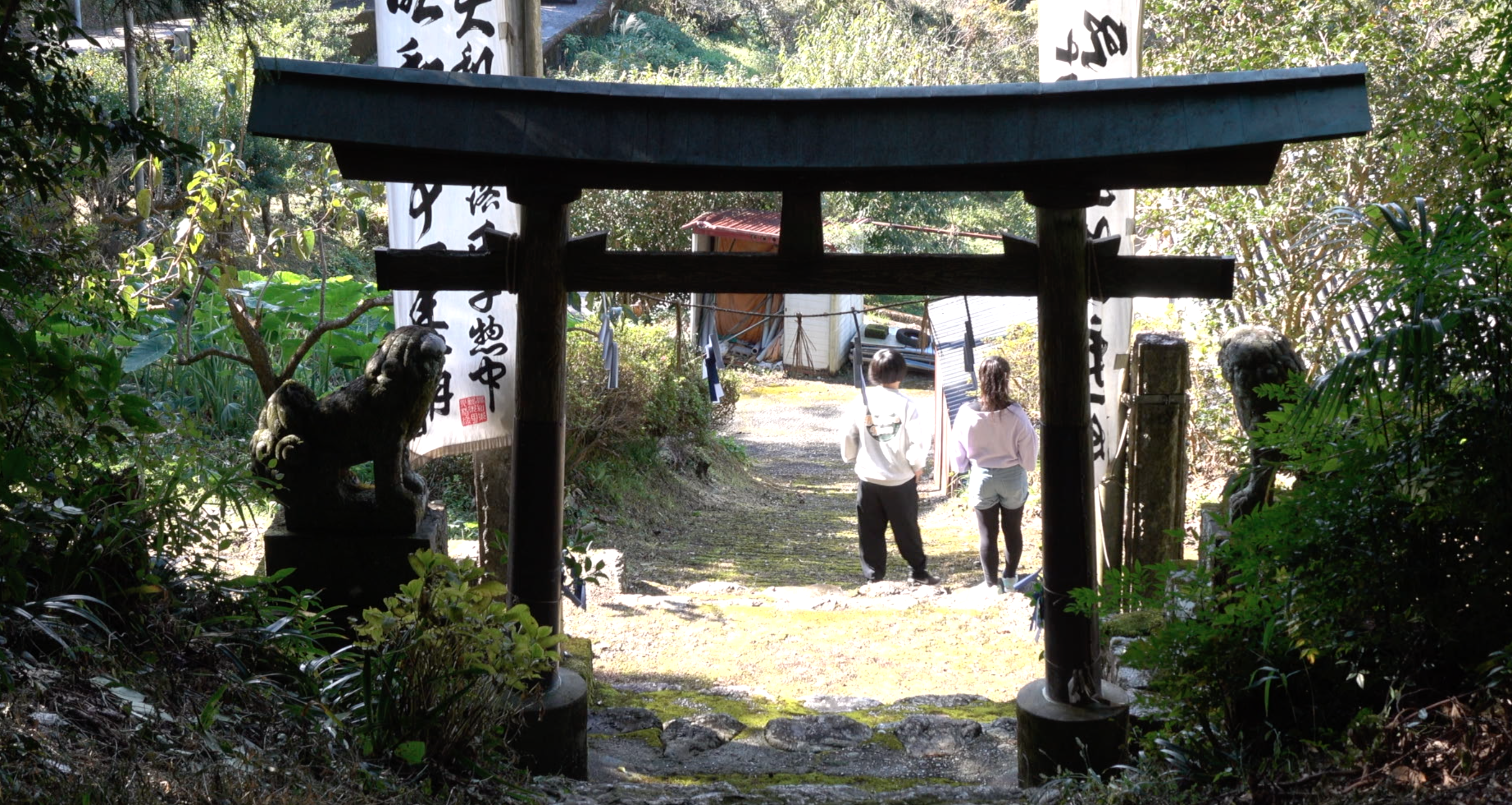 Screen Shot 2023-05-06 at 10.12.41 pm