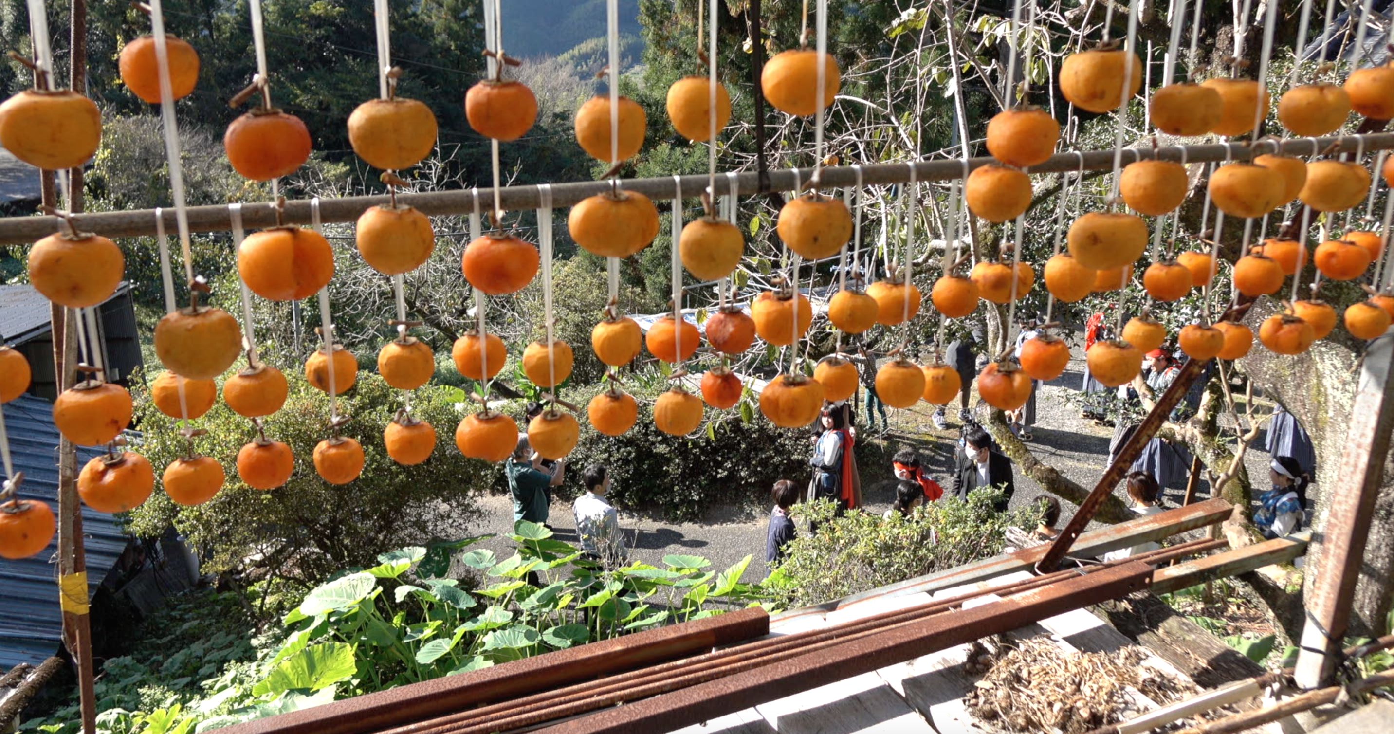 Screen Shot 2023-05-06 at 9.54.11 pm